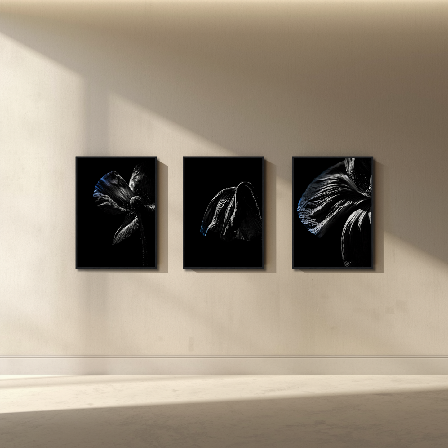 Framed art set featuring the complete DESCENT series I, II, III by LunarHeartCo, each piece measuring 50x70 cm, displayed in sleek frames.