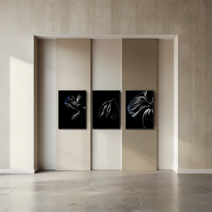 LunarHeartCo Descent complete series framed fine art set with three 50×70 cm prints, featuring abstract and atmospheric designs.