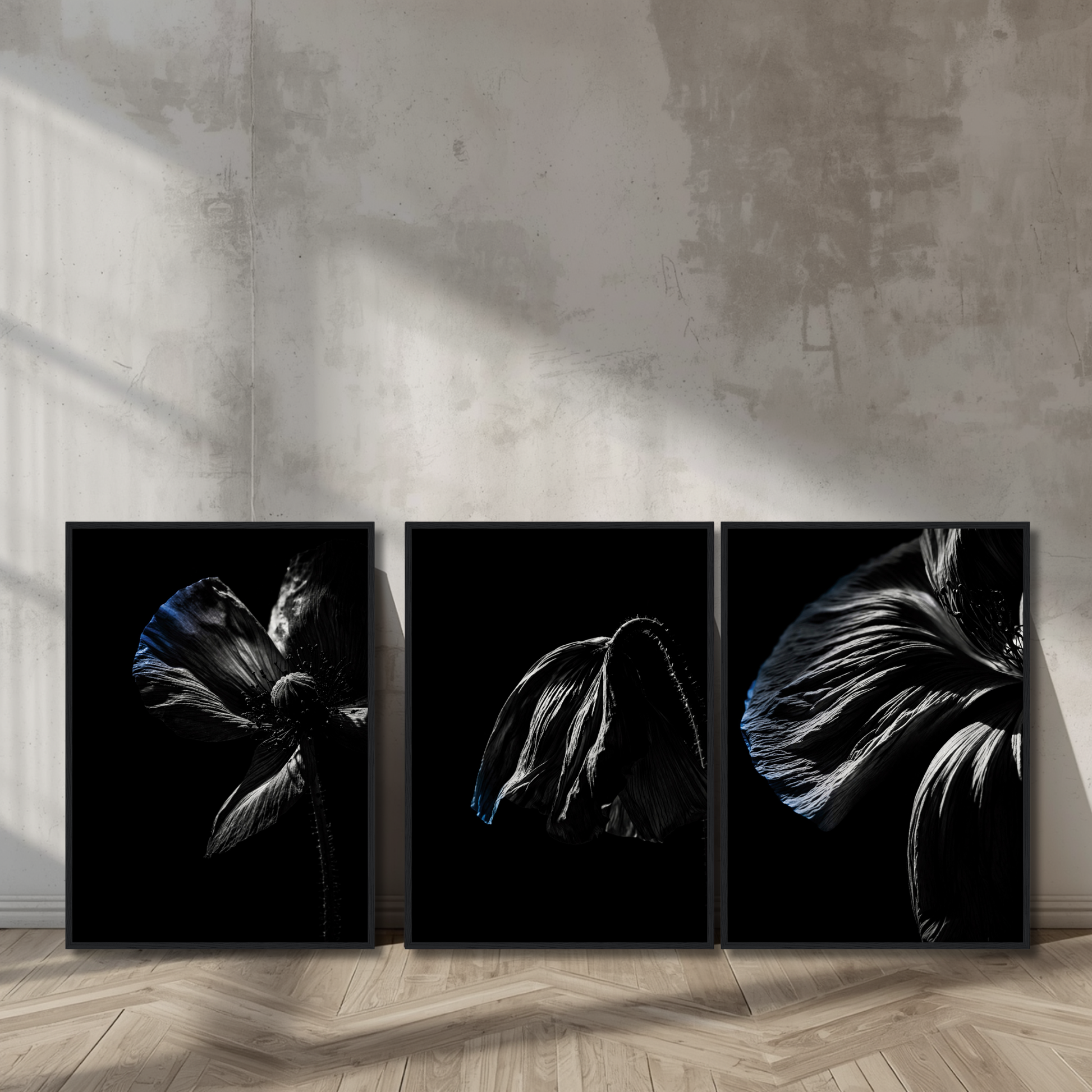 LunarHeartCo Descent complete series framed fine art set with three 50×70 cm prints displayed in sleek frames