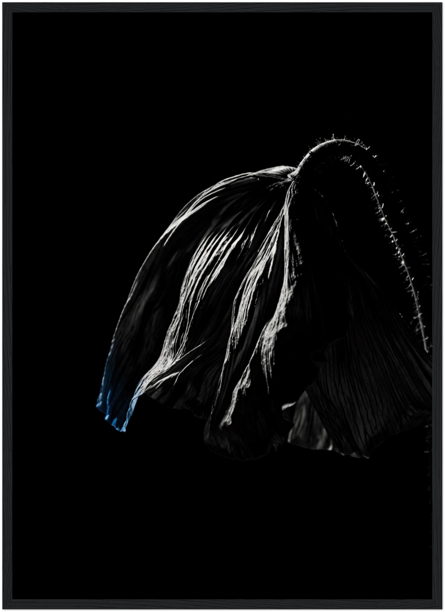 LunarHeartCo DESCENT II framed fine art print, 50×70 cm, with abstract design in a sleek black frame on a white background.