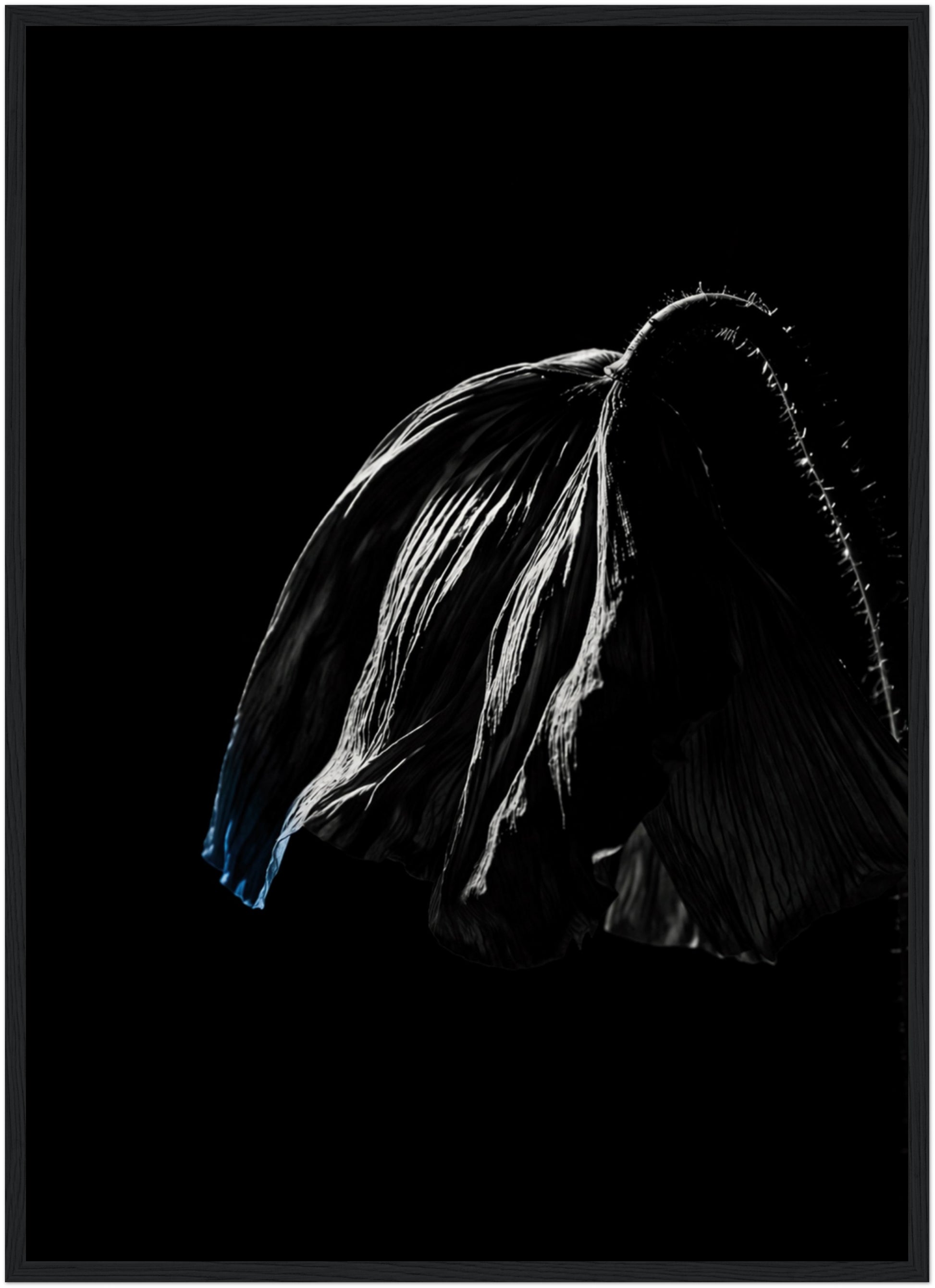 LunarHeartCo DESCENT II framed fine art print, 50×70 cm, with abstract design in a sleek black frame on a white background.